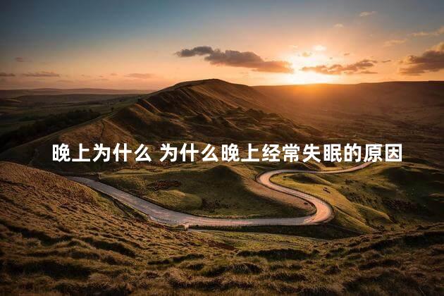晚上为什么 为什么晚上经常失眠的原因